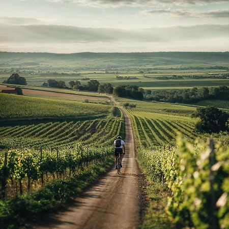 Falkensteiner Balance Resort Stegersbach - Adults Only Екстер'єр фото Vineyards in the Moselle region