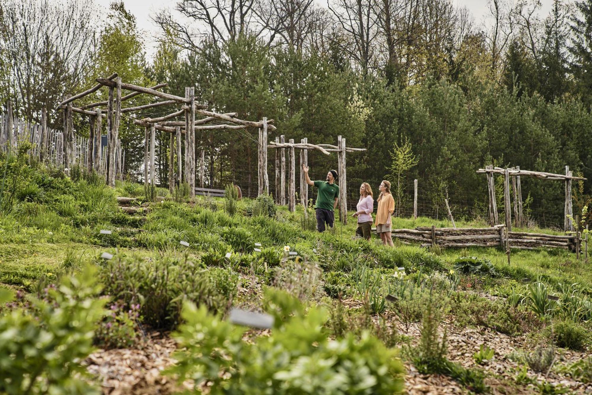 Falkensteiner Balance Resort Stegersbach - Adults Only Екстер'єр фото The Native American Garden